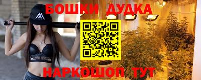 сатива Аргун