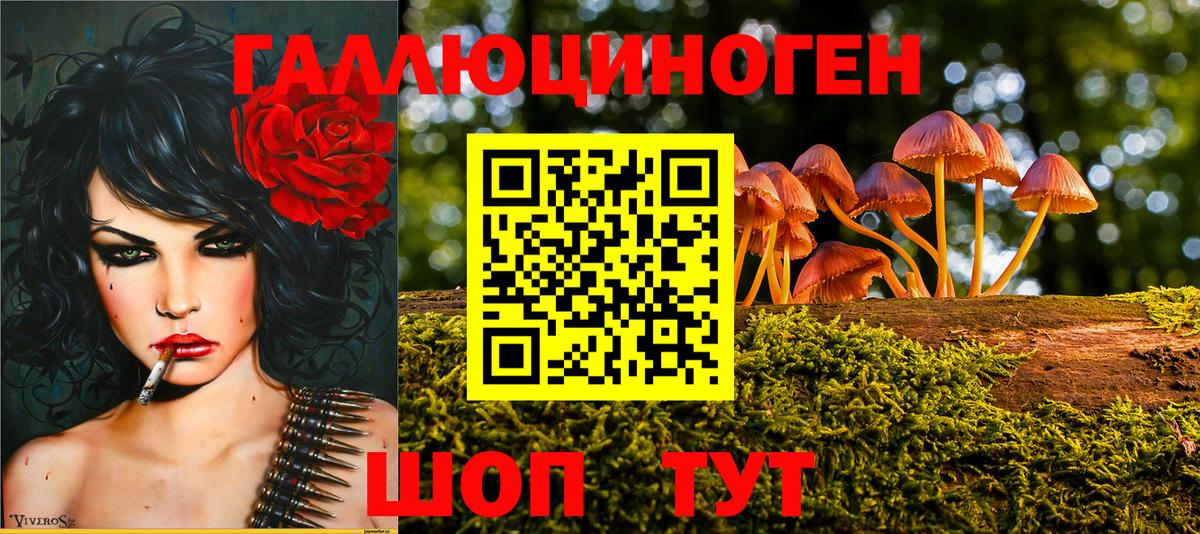 Псилоцибиновые грибы Psilocybe  Братск 