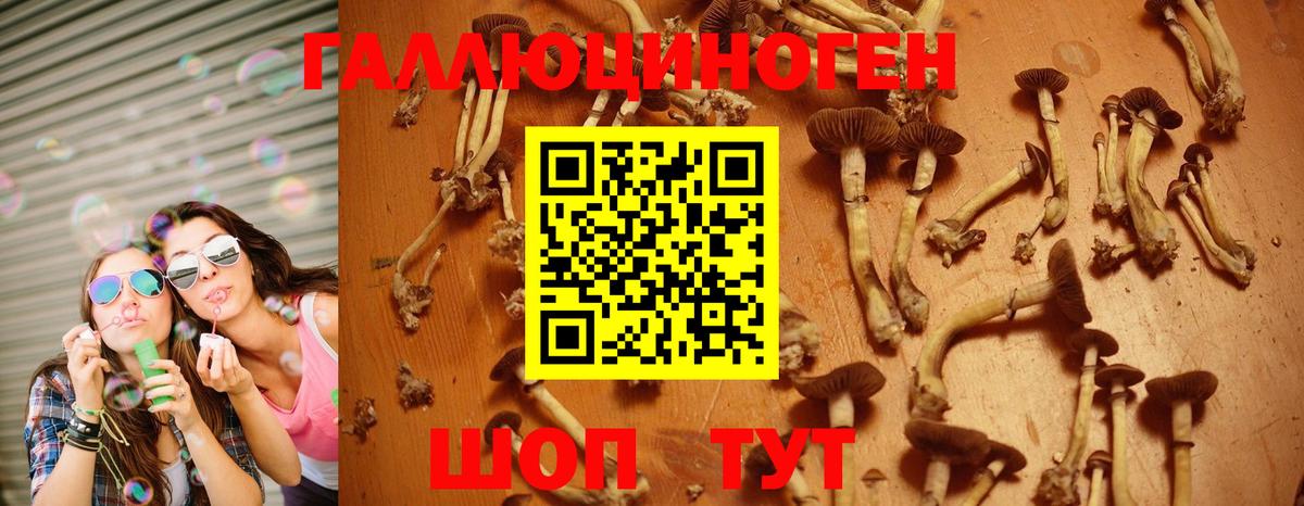 Галлюциногенные грибы Magic Shrooms Братск