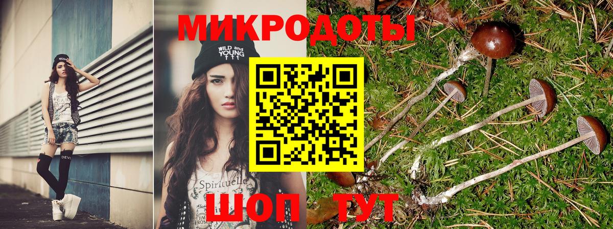Галлюциногенные грибы MAGIC MUSHROOMS  Вход с VPN  Галлюциногенные грибы мухоморы  где купить наркоту  Братск 