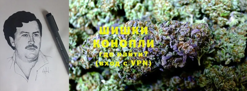 blacksprut как войти  Братск  Шишки марихуана White Widow 